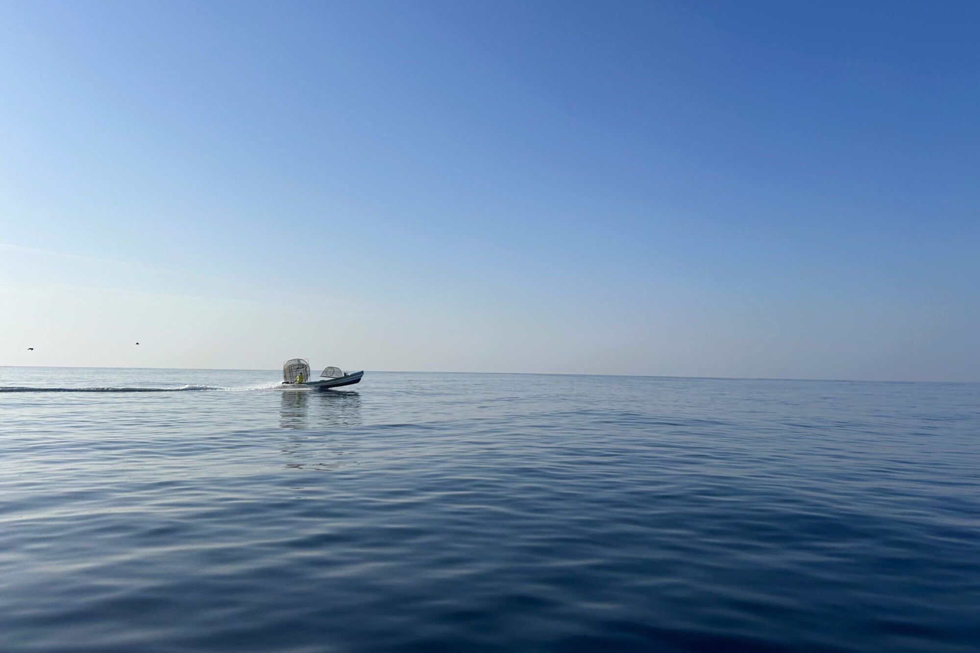 Diving in Mirbat fish boat