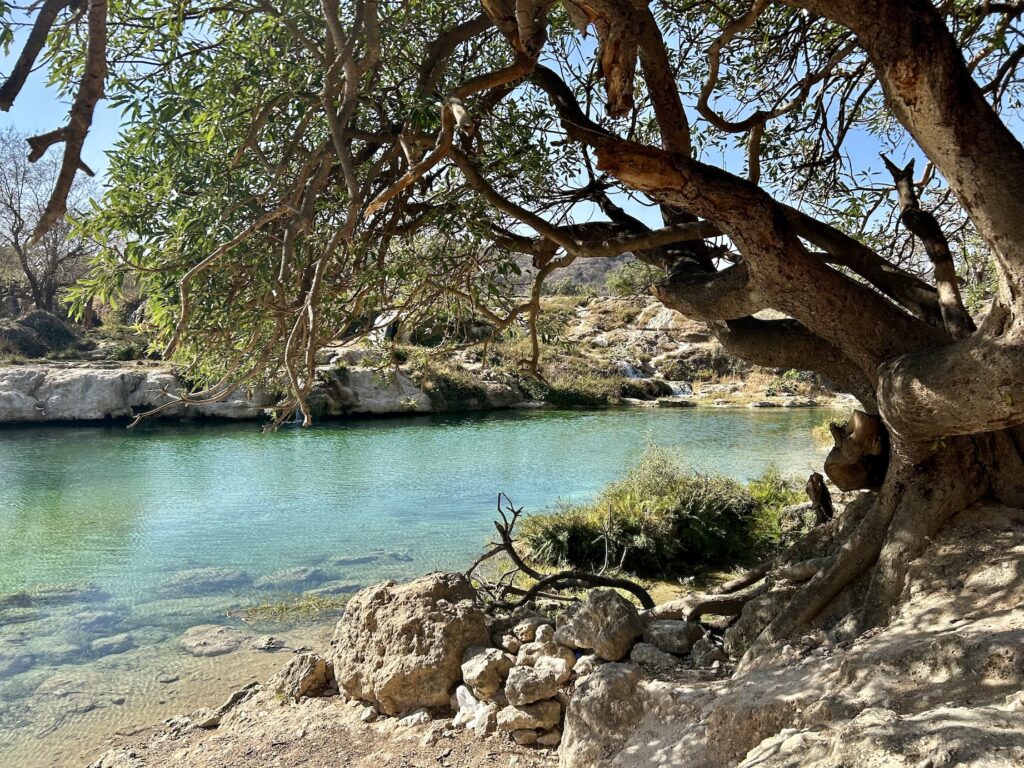 Oasis in Oman